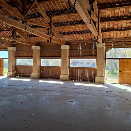 Mas De Bonnafoux Villa บูแคร์ ภายนอก รูปภาพ